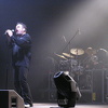 havirov 2004 33