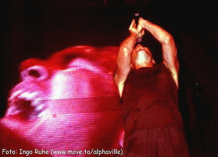 pic0138