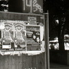 pic0255