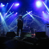 IMG 4578