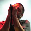 IMG 4619