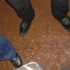 P5310145