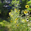 P8090702