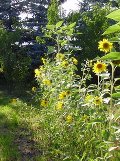 P8090702