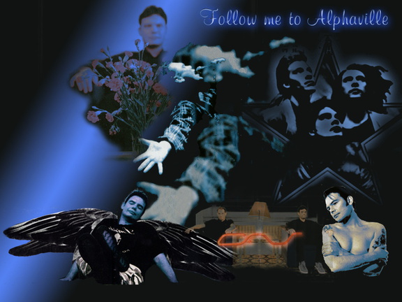 followme 800x600